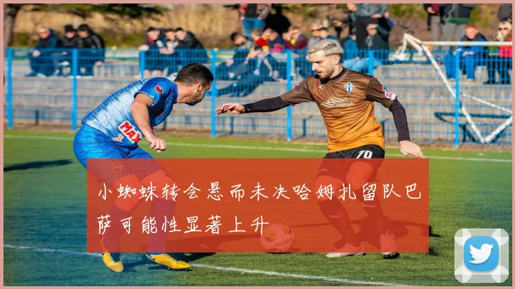 小蜘蛛转会悬而未决哈姆扎留队巴萨可能性显著上升